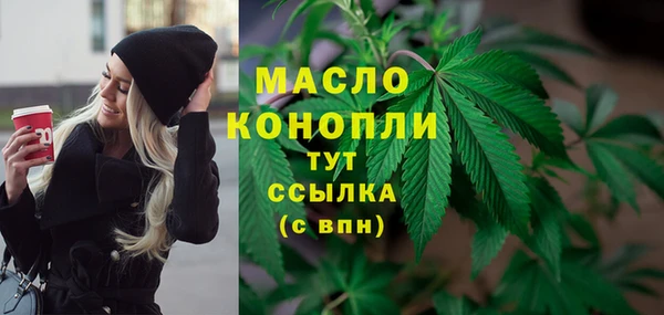 гидра Горно-Алтайск