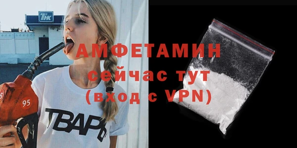 гидра Горно-Алтайск