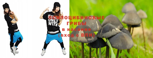 гидра Горно-Алтайск