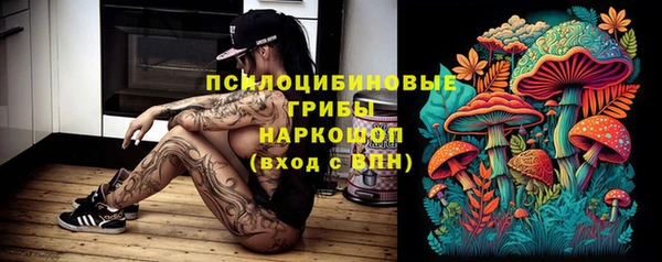 стаф Горнозаводск