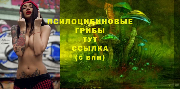 стаф Горнозаводск