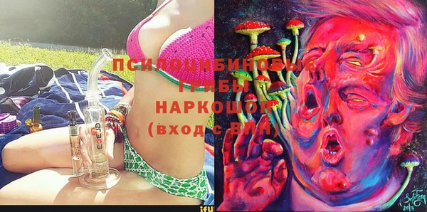 гидра Горно-Алтайск