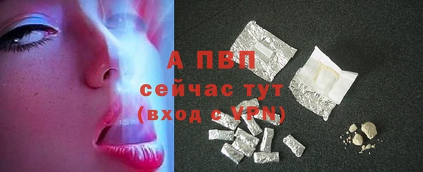 стаф Горнозаводск