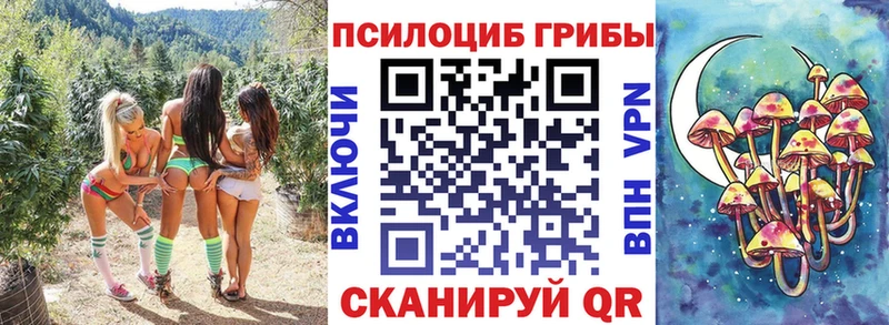 Галлюциногенные грибы Magic Shrooms  Купить  Собинка 